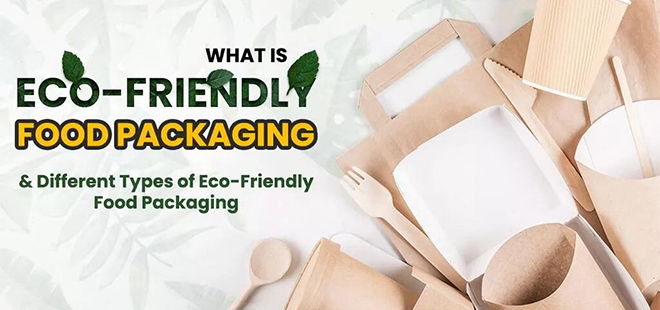 Eco food packaging