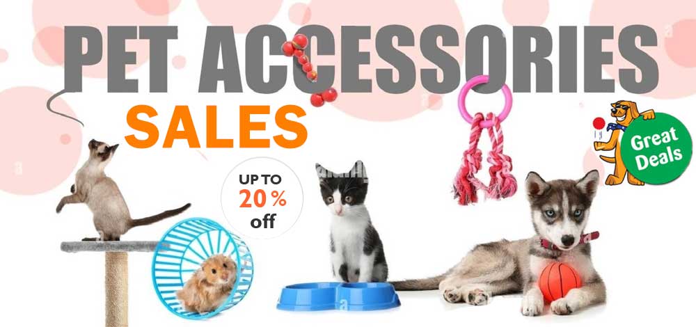 Pet Accessories